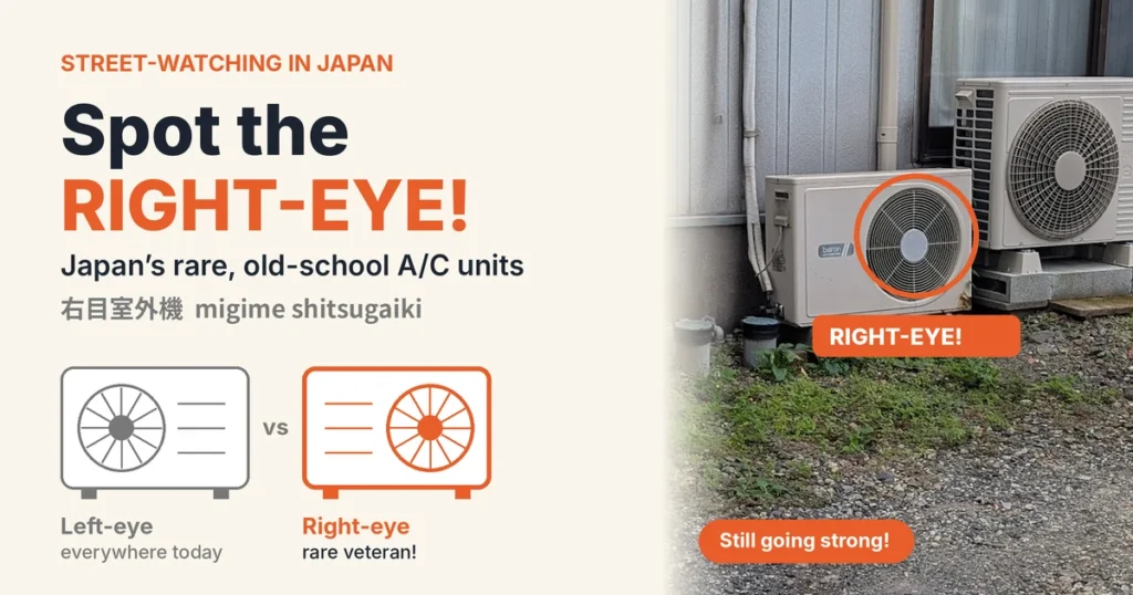 Spot the right-eye! A diagram comparing a common left-eye outdoor air conditioner unit with a rare right-eye unit, and a photo of a real right-eye unit