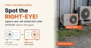 Spot the right-eye! A diagram comparing a common left-eye outdoor air conditioner unit with a rare right-eye unit, and a photo of a real right-eye unit