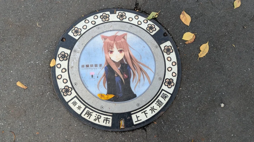 Tokorozawa rainwater cover featuring Holo from Spice and Wolf