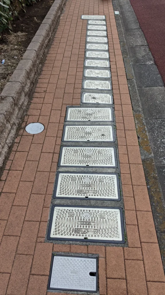 A long row of water meter lids lined up on a brick sidewalk