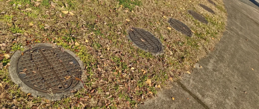 A row of manhole covers lined up across a grassy park slope